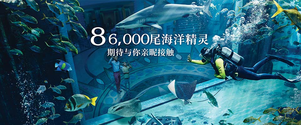 三亚亚特兰蒂斯失落的空间水族馆  这里有86000多只,超过280种海洋