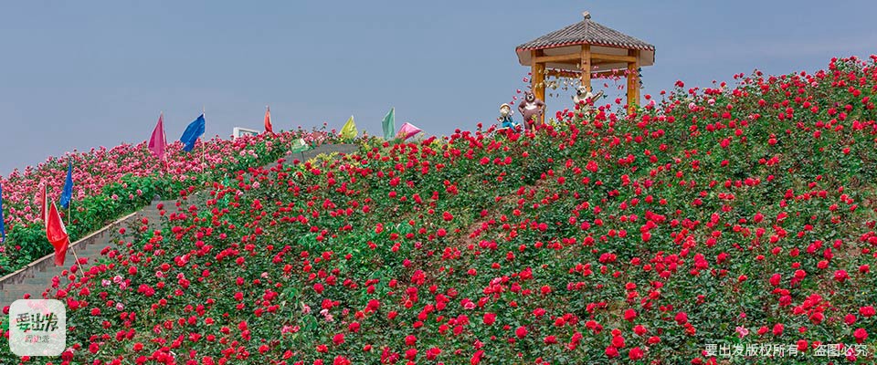 四川| 广安 百万玫瑰·梦幻花海,遍地芬芳