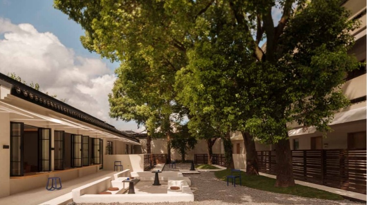 姑苏C位森林庭院民宿，800年姑苏文化体验