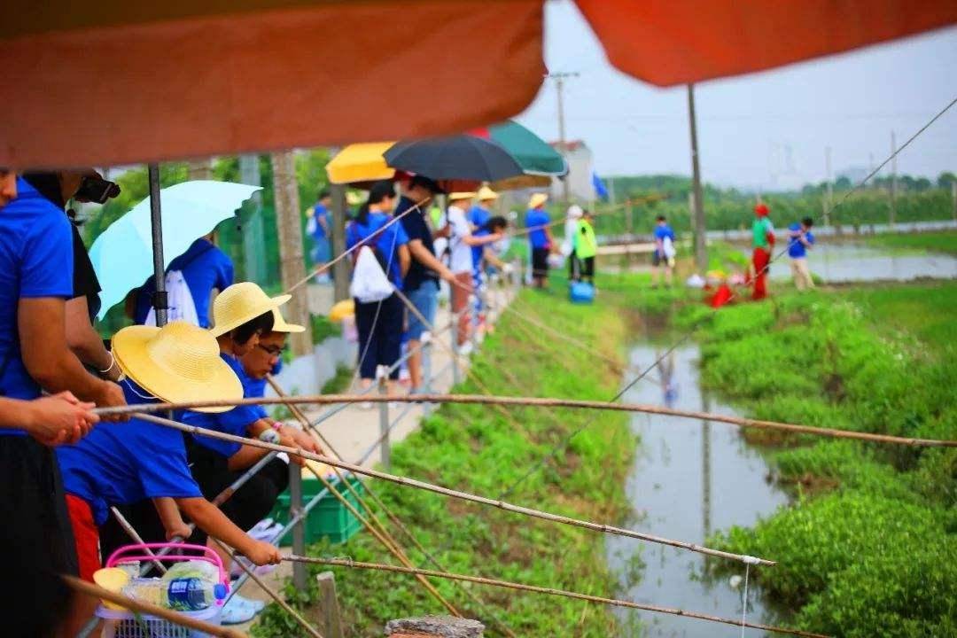 安徽省 | 芜湖市 芜湖奥创探索营地