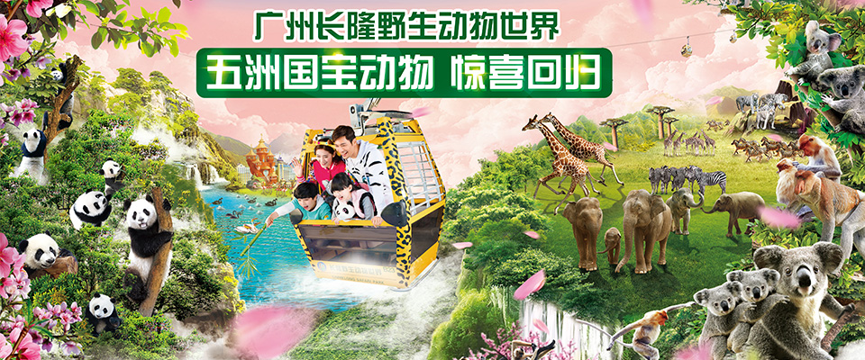 长隆野生动物世界