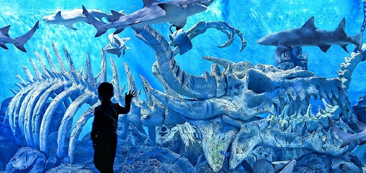 波塞冬海底世界