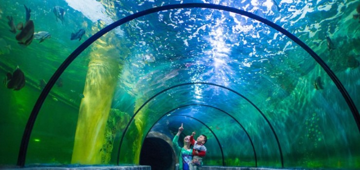 襄阳深梦海底世界